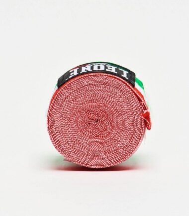 BENDAGGI LEONE - immagine 4