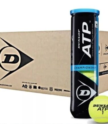 18 DUNLOP ATP CHAMPIONSHIP (tubo da 4 palline) - immagine 1