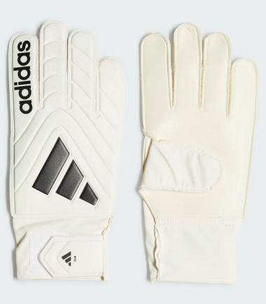 absports