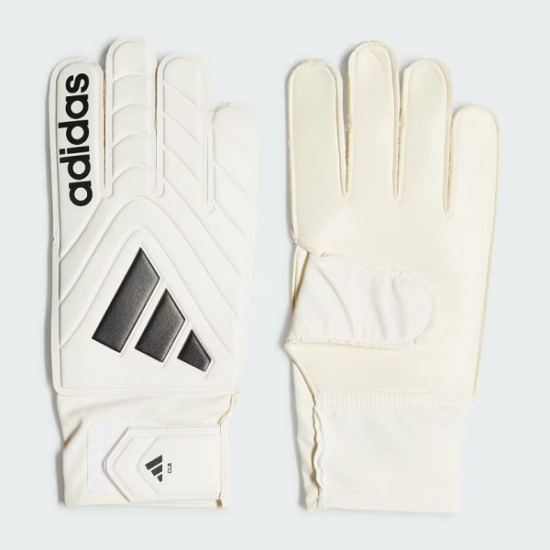 1 absports