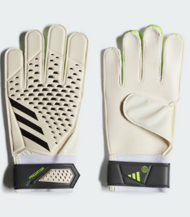 absports