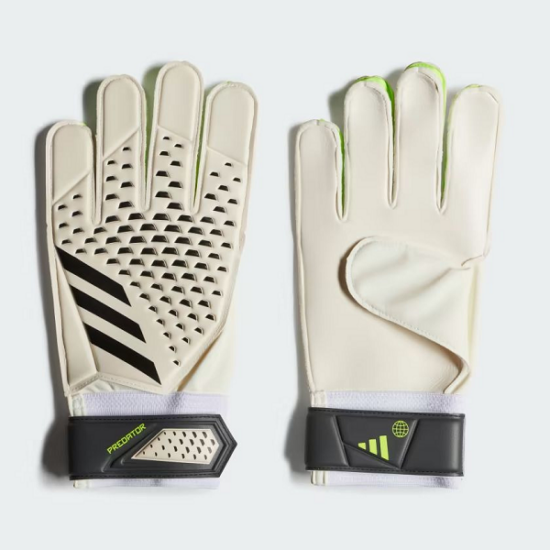 absports