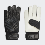 absports