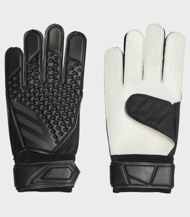 absports
