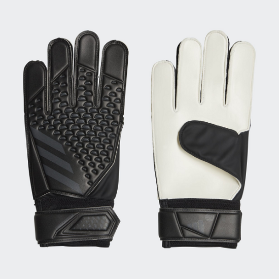 absports
