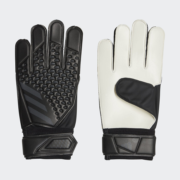 absports