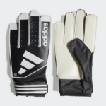 absports