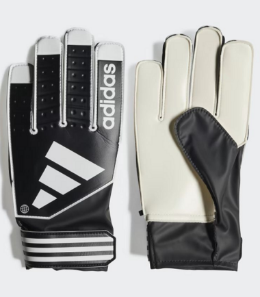 absports