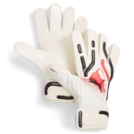 absports