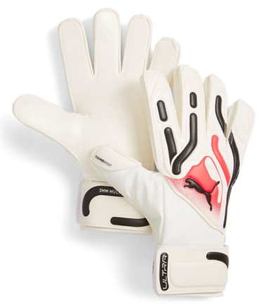 absports