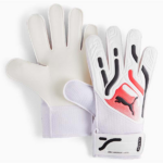 absports