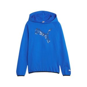 FELPA PUMA ACTIVE SPORTS HOODIE