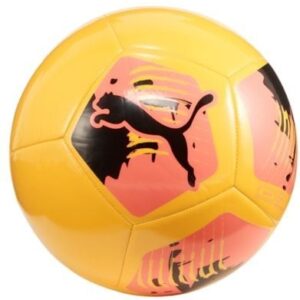PALLONE PUMA BIG CAT TRAINING
